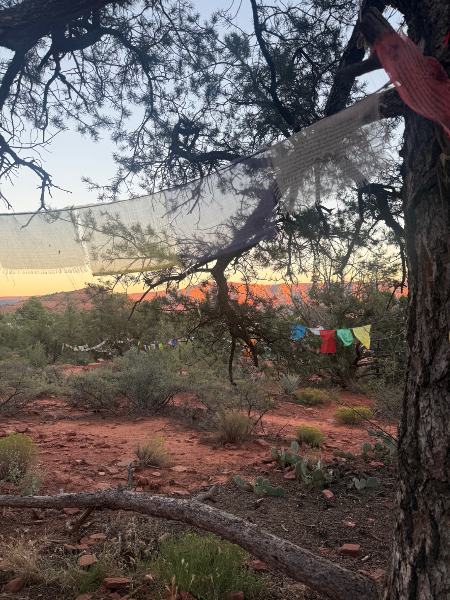 Prayer flags framed by the Sedona landscape