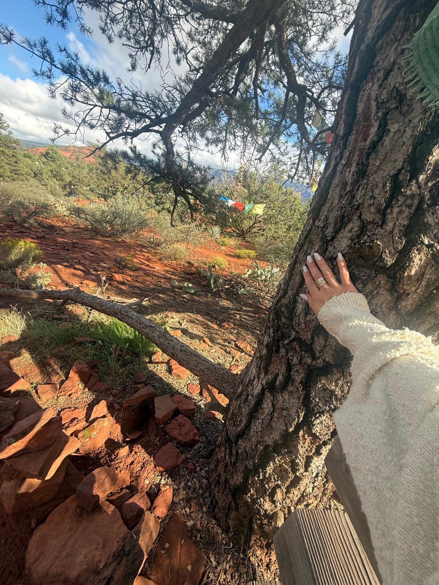 A hand resting on a tree among Sedona red rocks and prayer flags
